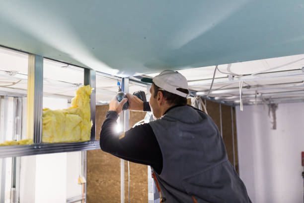 Best Insulation Removal  in Fredericksburg, TX