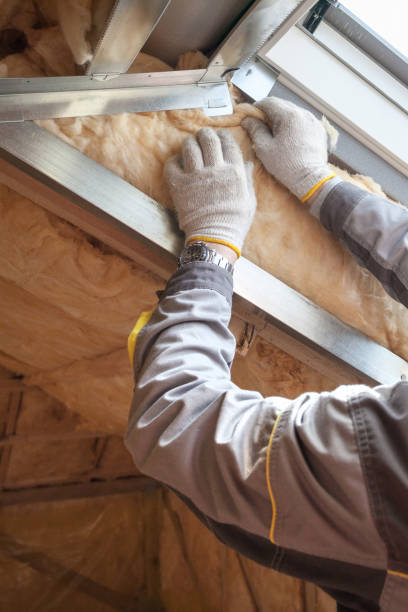 Best Insulation Contractor Near Me  in Fredericksburg, TX
