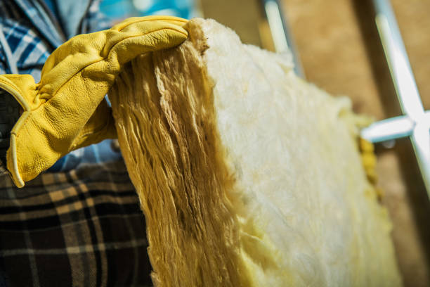 Best Professional Insulation Contractor  in Fredericksburg, TX