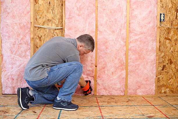 Best Insulation Replacement Services  in Fredericksburg, TX