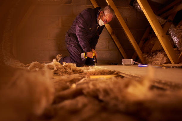 Best Insulation Inspection Services  in Fredericksburg, TX