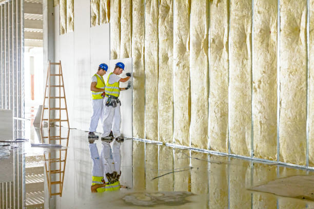 Best Insulation for New Construction  in Fredericksburg, TX